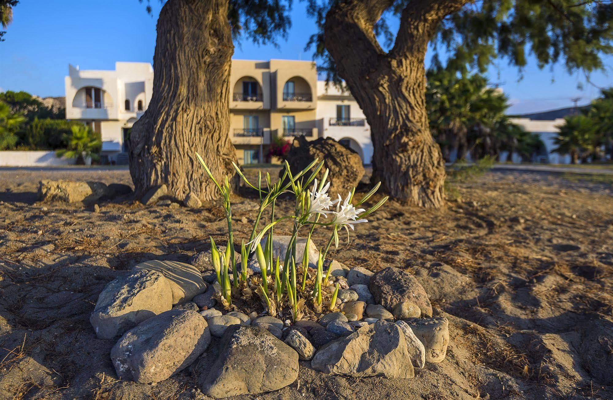 Olympia Mare Aparthotel Kardamena  Exterior foto